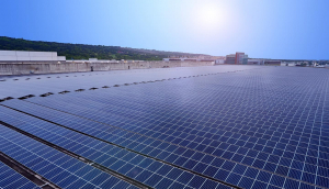 中美硅晶与hth·华体光电携手战略合作